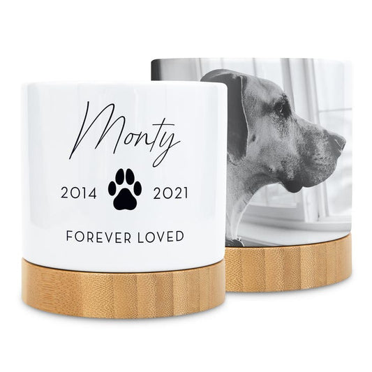 Personalized Photo Printed Ceramic Indoor Plant