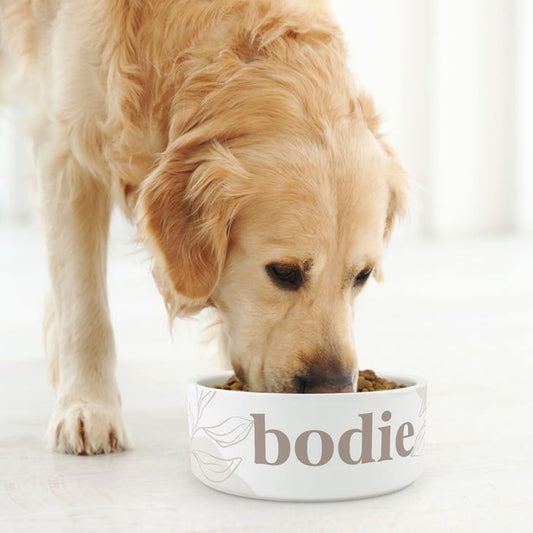 Custom Print Ceramic Pet Food Bowl