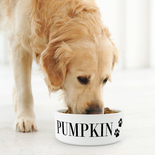 Custom Print Ceramic Pet Food Bowl