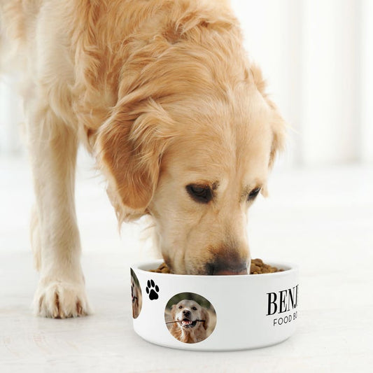 Custom Print Ceramic Pet Food Bowl
