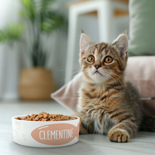 Custom Print Ceramic Pet Food Bowl