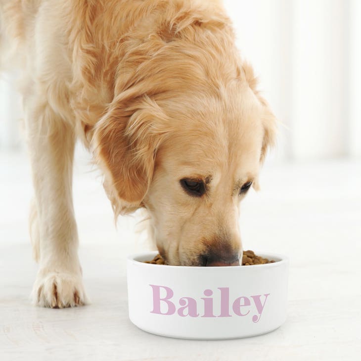 Custom Print Ceramic Pet Food Bowl