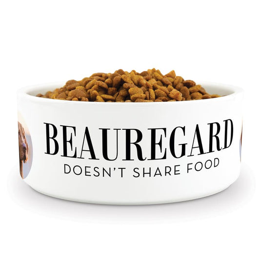 Custom Print Ceramic Pet Food Bowl