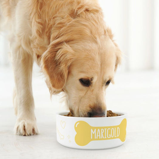 Custom Print Ceramic Pet Food Bowl