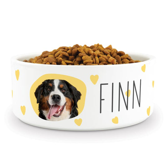 Custom Print Ceramic Pet Food Bowl