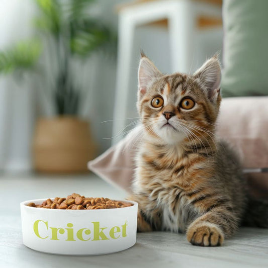 Custom Print Ceramic Pet Food Bowl